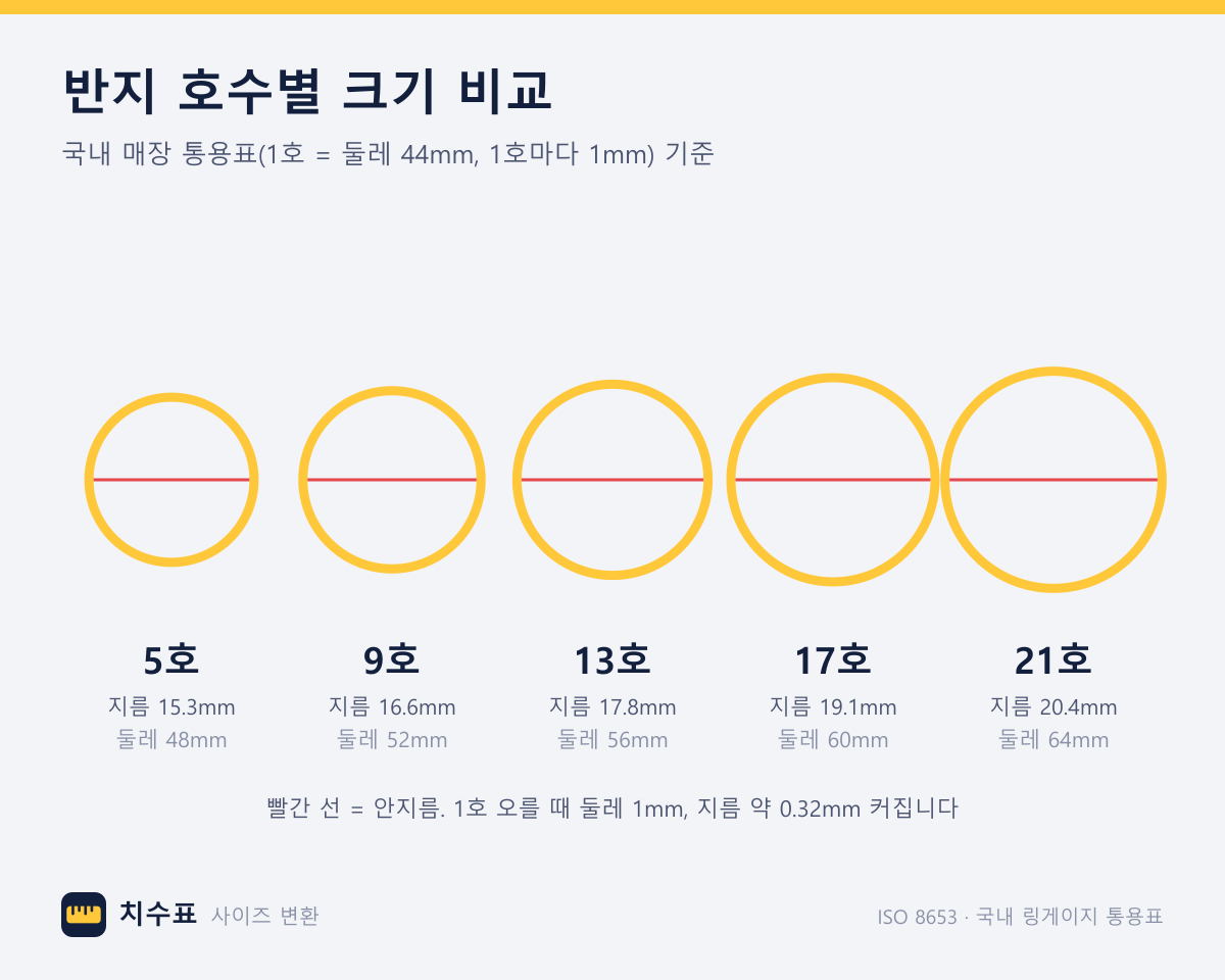 국내 5·9·13·17·21호 반지의 안지름을 원 크기로 비교한 그림. 5호 둘레 48mm·지름 15.3mm, 9호 52mm·16.6mm, 13호 56mm·17.8mm, 17호 60mm·19.1mm, 21호 64mm·20.4mm